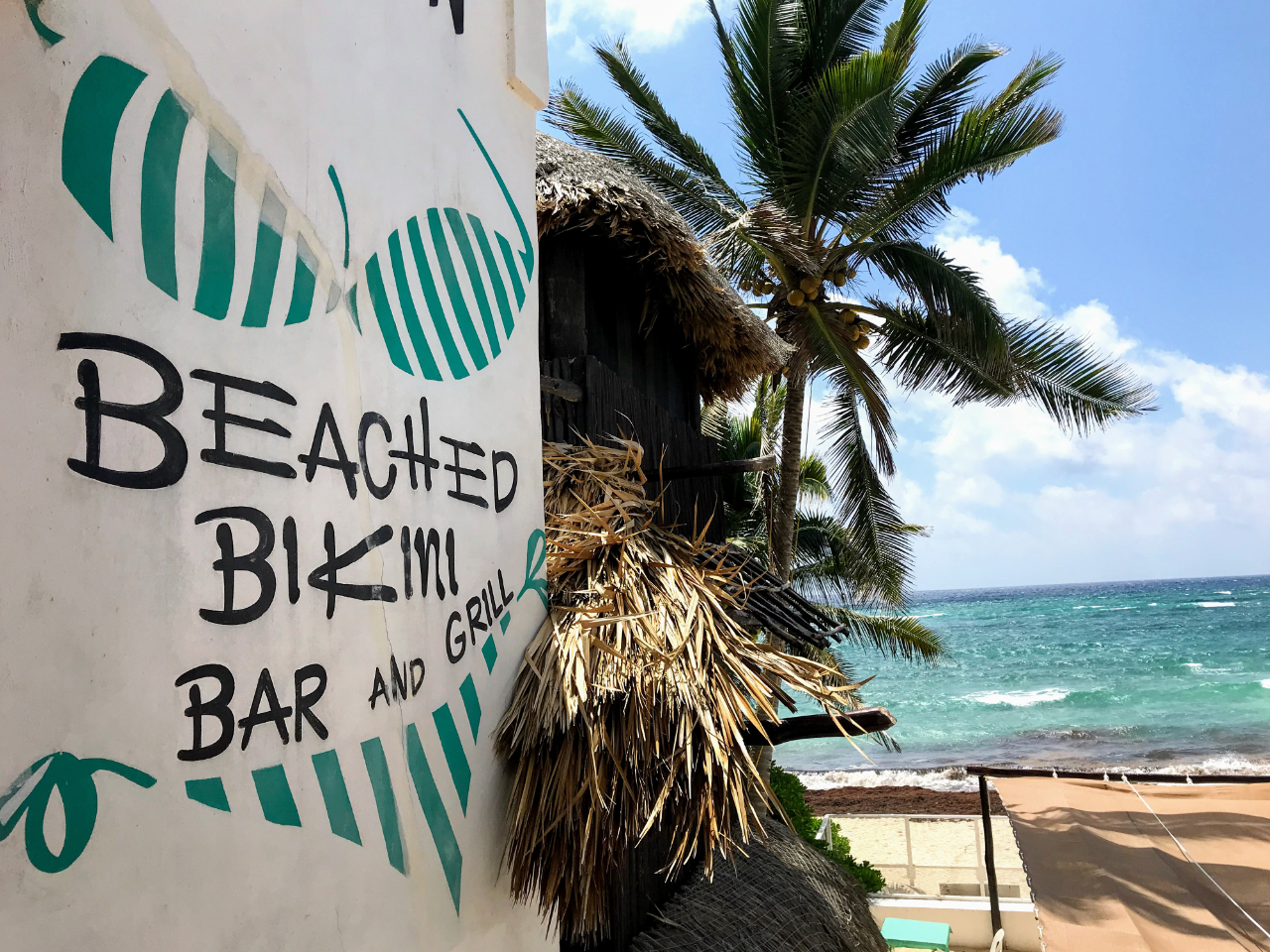 The Beached Bikini Bar and Grill