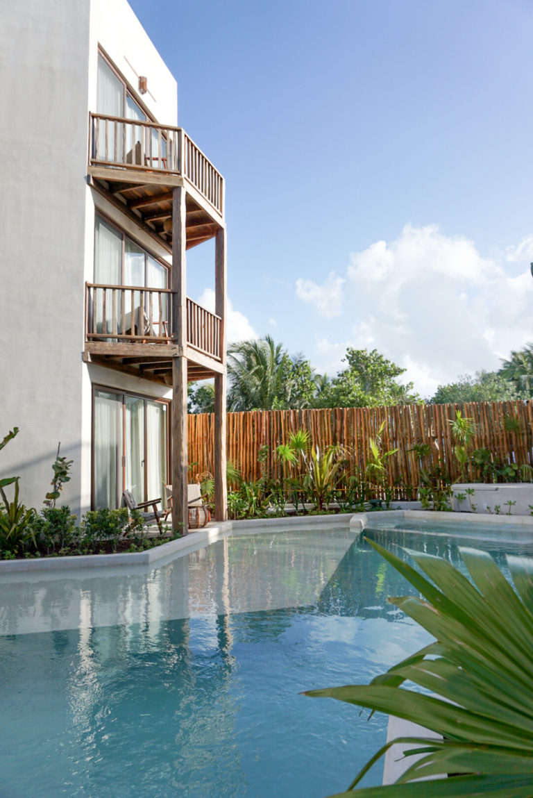 Photo Feb 18 8 52 37 AM 768x1149